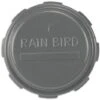 Rain Bird PVC Gewindekappe Grau - 1 Zoll IG