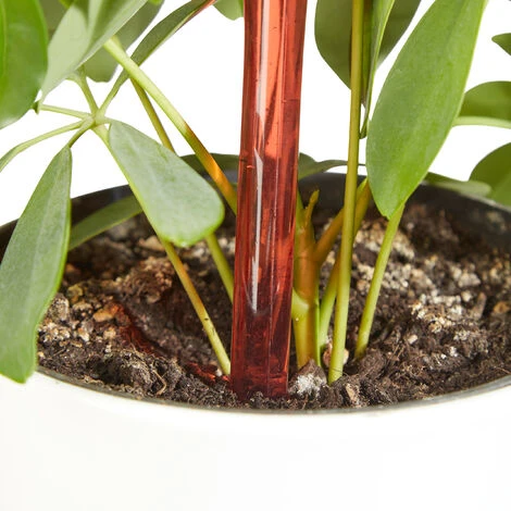 Relaxdays Bewässerungskugeln, 4er Set, 2 Wochen, Versenkbar, Topfpflanzen, Dosierte Bewässerung 250 Ml, Kunststoff, Rot – Bild 2