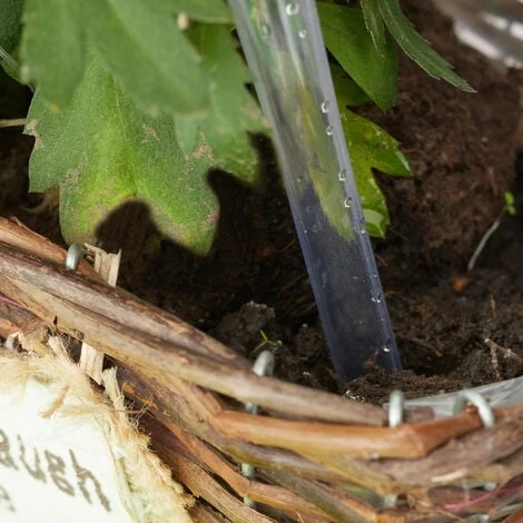 Relaxdays Bewässerungskugeln, 4er Set, Dosierte Bewässerung 250 Ml Für 2 Wochen, Versenkbar, Kunststoff, Transparent – Bild 2