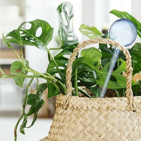 Relaxdays Bewässerungskugeln, 4er Set, Dosierte Bewässerung 250 Ml Für 2 Wochen, Versenkbar, Kunststoff, Transparent – Bild 3