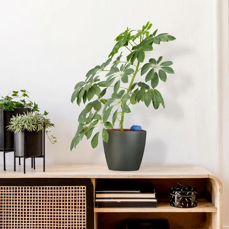 Relaxdays Bewässerungskugeln Ton, 4er Set, Durstkugeln Ø 6cm, Keramik, Dosierte Pflanzen Bewässerung, Terracotta/blau – Bild 2