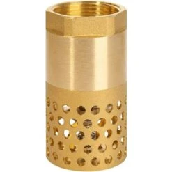 1 Zoll Pumpenrückschlagventil - Fußventil Siebrückschlagventil (1 Zoll)