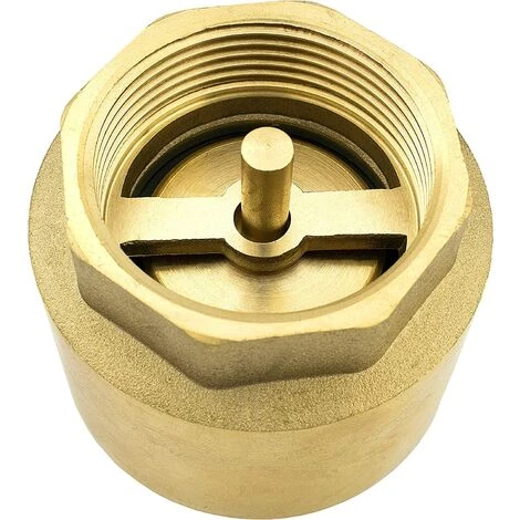 1 1/2 Zoll Rückschlagventil Aus Hochbelastbarem Hochwertigem Messing, Rostfrei Und Auslaufsicher Für Pumpe, Brunnen, Waschmaschine, Garten, Regentonne, Fass