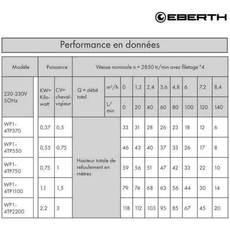 EBERTH 4 Tiefbrunnenpumpe Brunnenpumpe Aus Rostfreiem Edelstahl, Elektrisch 550W, Durchmesser Pumpe 4 Zoll (10cm), Anschlussgewinde 1 1/2 Zoll, Stromkabel 20m, Förderhöhe Max. 43m, Mit Schmutzsieb – Bild 5