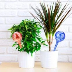 4 Stück Automatische Bewässerungskugel Für Pflanzen Aus Glas Durchmesser 8cm