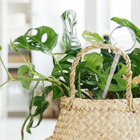 Relaxdays Bewässerungskugeln, 6er Set, Durstkugeln Für Pflanzen, 250 Ml, Kunststoff, Gießkugel, 28 X 8 Cm, Transparent – Bild 3