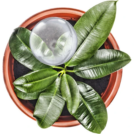 Relaxdays Bewässerungskugeln, 6er Set, Durstkugeln Für Pflanzen, 250 Ml, Kunststoff, Gießkugel, 28 X 8 Cm, Transparent – Bild 5